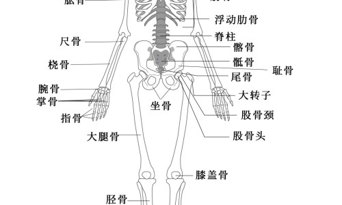 孕期胆固醇偏高怎么调理才会降-妊娠期间胆固醇高的原因网 - 怀孕期胆固醇高的原因,妊娠期间胆固醇高的原因是