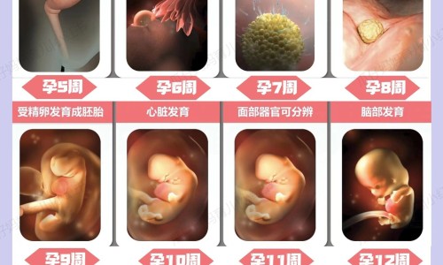 孕期胆固醇高的原因-妊娠期间胆固醇高的原因网 - 怀孕期胆固醇高的原因,妊娠期间胆固醇高的原因是